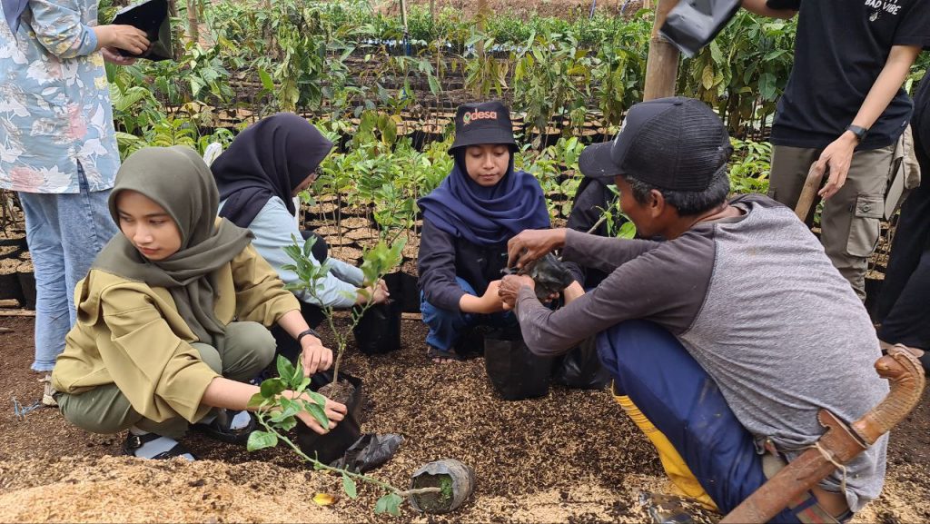 Relawan Sekolah Samin Odesa belajar cara bertani yang benar bersama petani