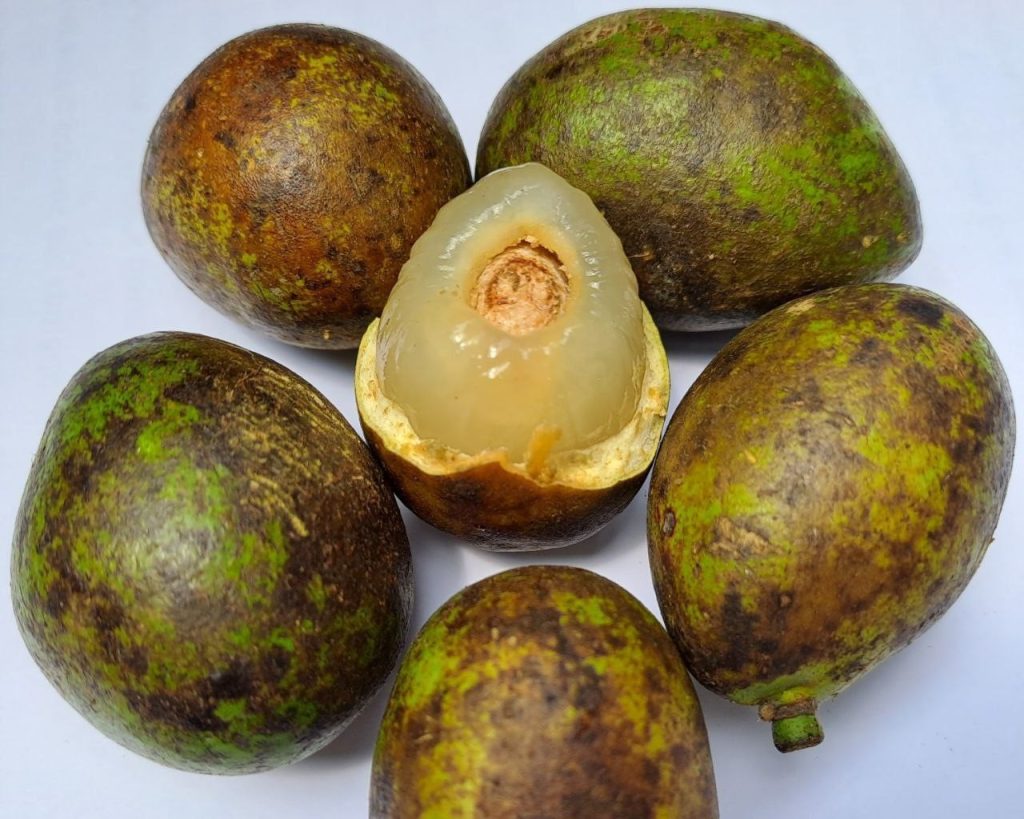 Buah matoa baik untuk penderita asam lambung.