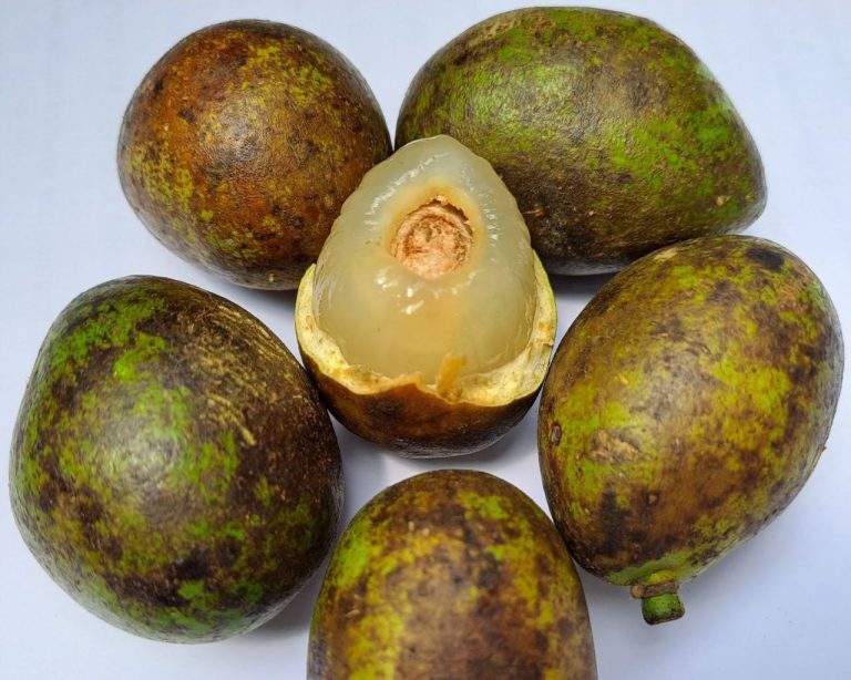 Buah matoa baik untuk penderita asam lambung.