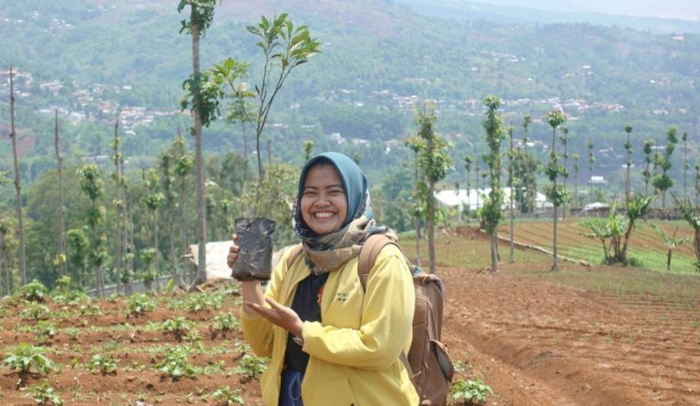 Berkebun dapat menghilangkan stres