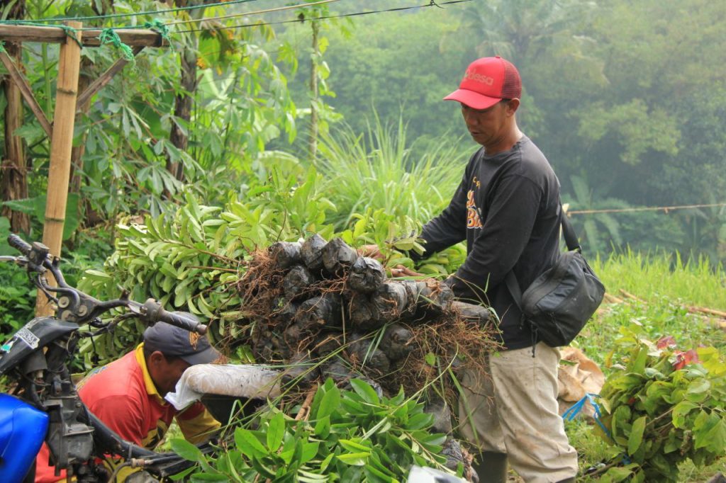 Aksi bagi bibit Yayasan Odesa Indonesia