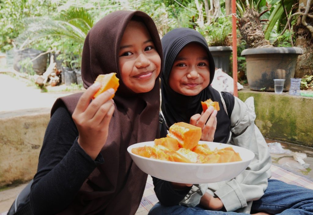 Manfaat pepaya untuk kulit