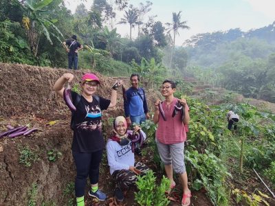 Desa, Berkubun