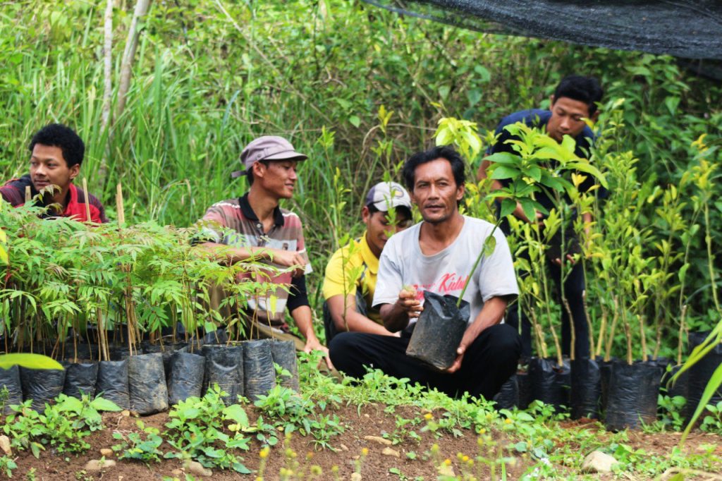 Praktik Literasi pertanian masyarakat desa