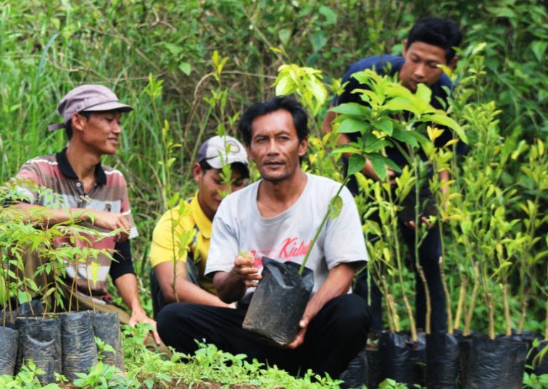 Praktik Literasi pertanian masyarakat desa