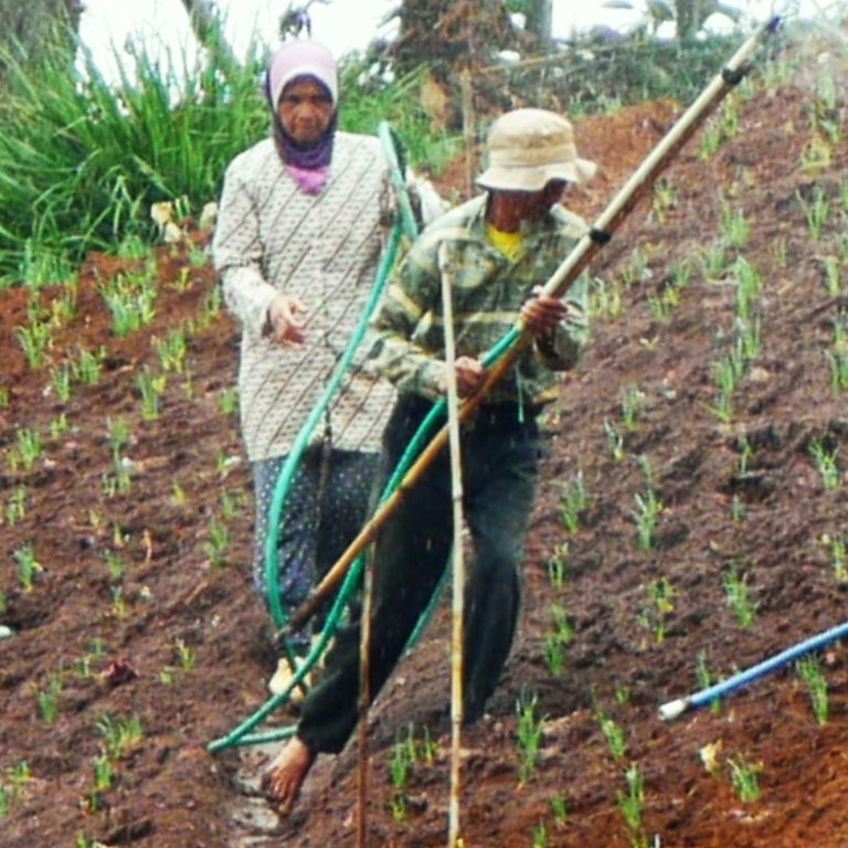 Kamu Orang Indonesia, Mesti Tahu Corak Ekonomi Petani Kita