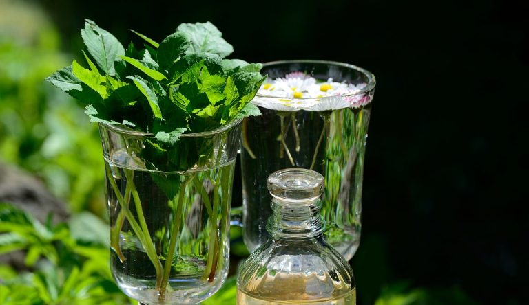 greedy, garden herbs, medicinal herbs-5138119.jpg