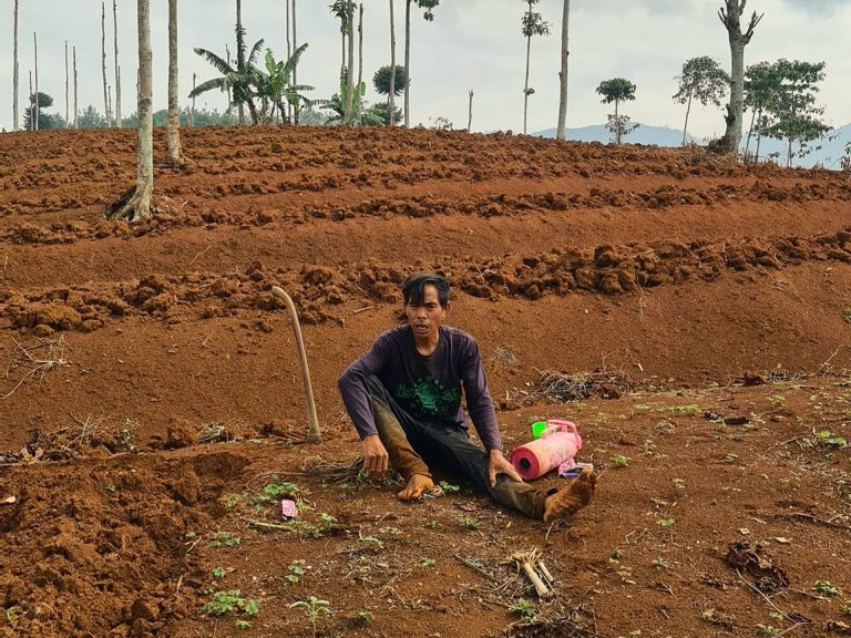 Dampak Perubahan Iklim dan Pentingnya Membantu Petani
