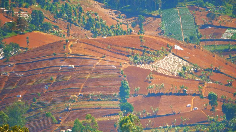 Solusi Perubahan Iklim dengan Mengolah Tanah Pertanian 