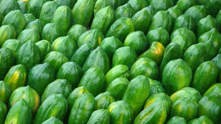 fruit, papaya, harvest-1635072.jpg