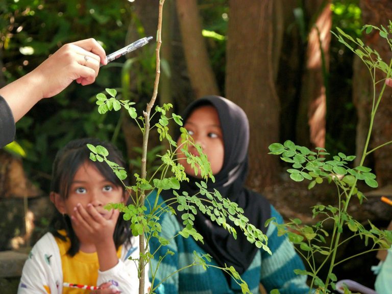 pentingnya literasi pertanian untuk generasi muda