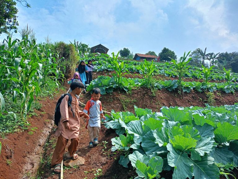 Pentingnya pendidikan anak petani