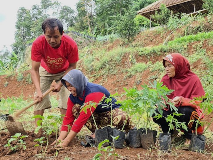 Pertanian informal petani desa di Cimenyan
