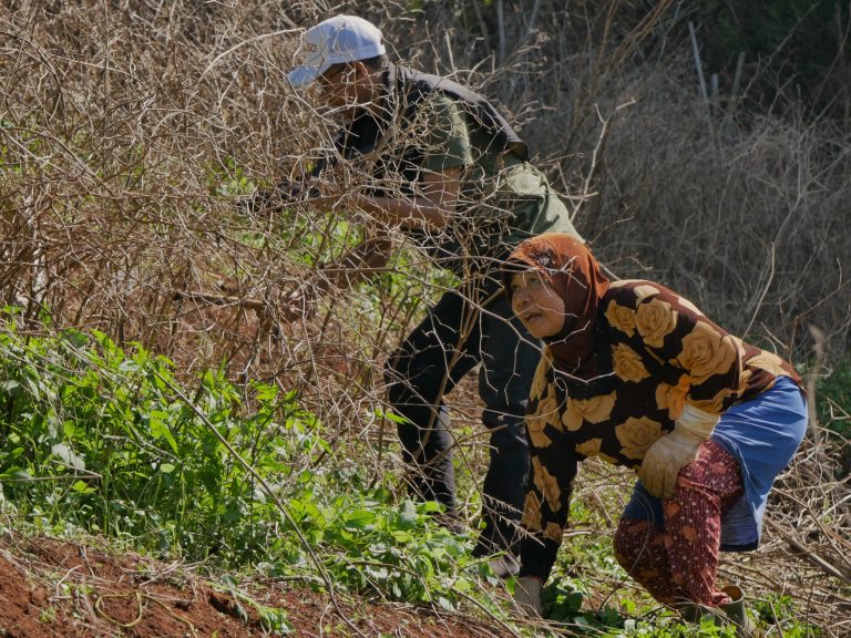 akar masalah dengan petani indonesia