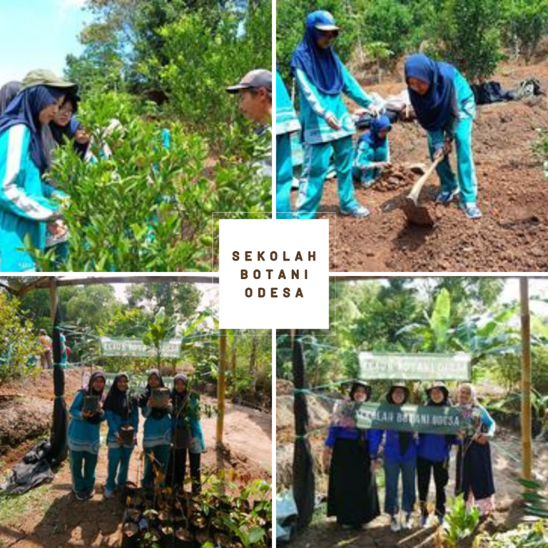 Kemeriahan Belajar Pertanian di Sekolah Botani Odesa