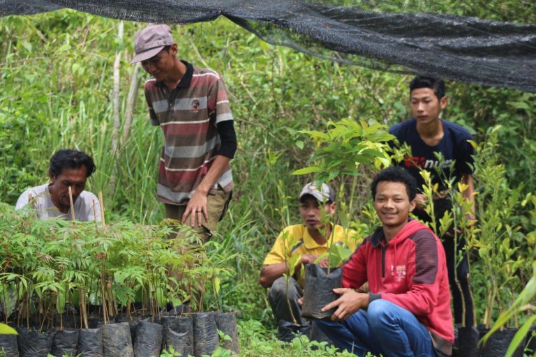 Pertanian Indonesia: Tantangan, Potensi dan Strategi Pengembangan