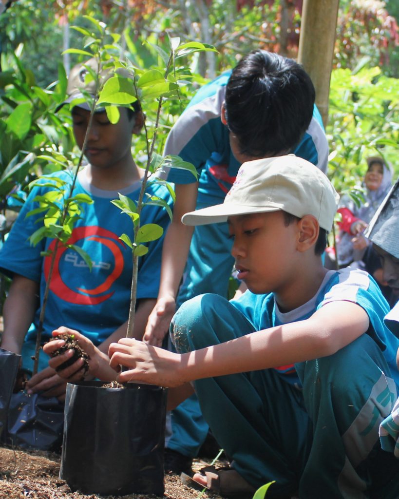 pentingnya berkebun untuk siswa