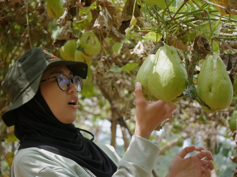 Berkebun Hortikultura Sangat Bagus untuk Kesehatan Mental