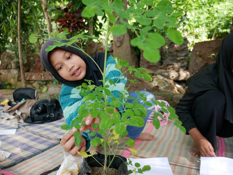 5 Manfaat Belajar Fotosintesis Bagi Anak