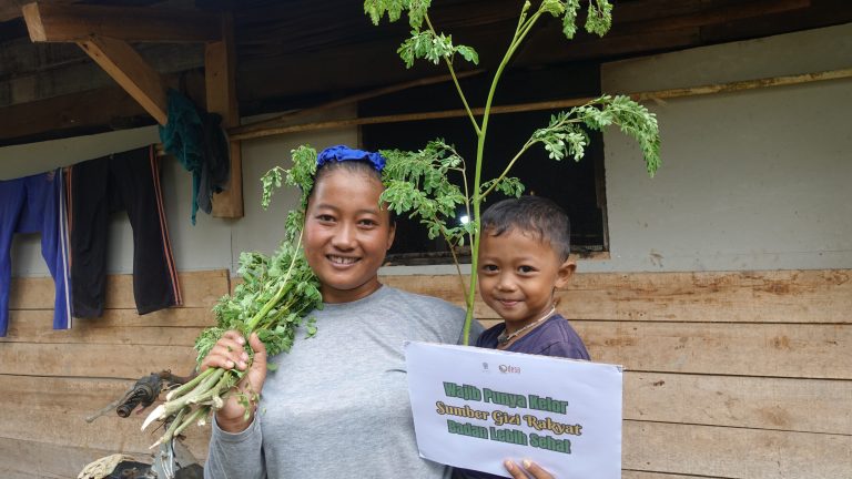 Daun Kelor Pencegah Stunting, Pelengkap Nutrisi Anak