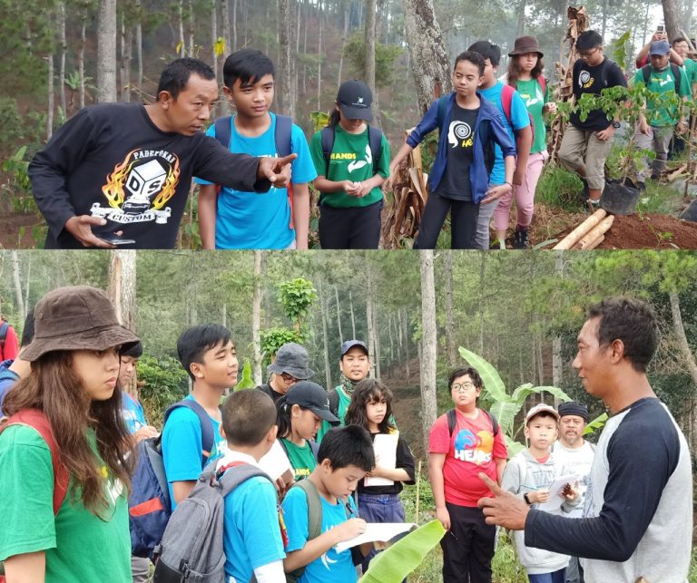 Ketahuilah 3 Manfaat Belajar Menanam untuk Anak