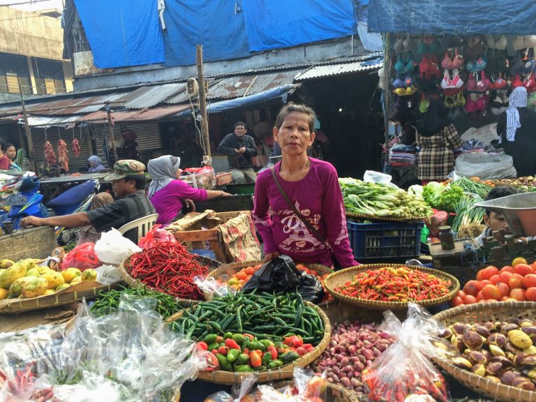 Diversifikasi pangan