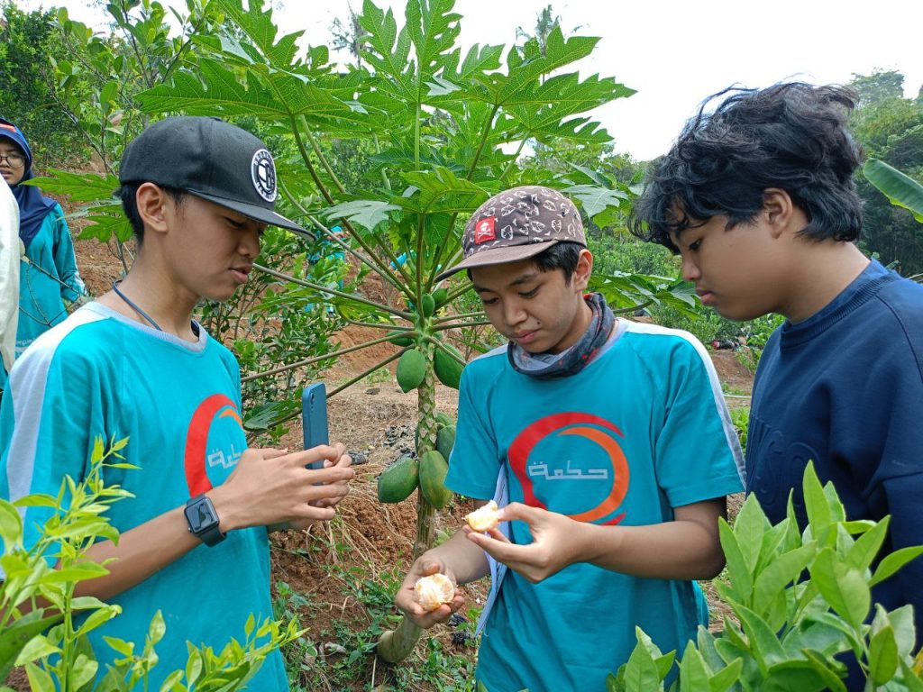 berkebun