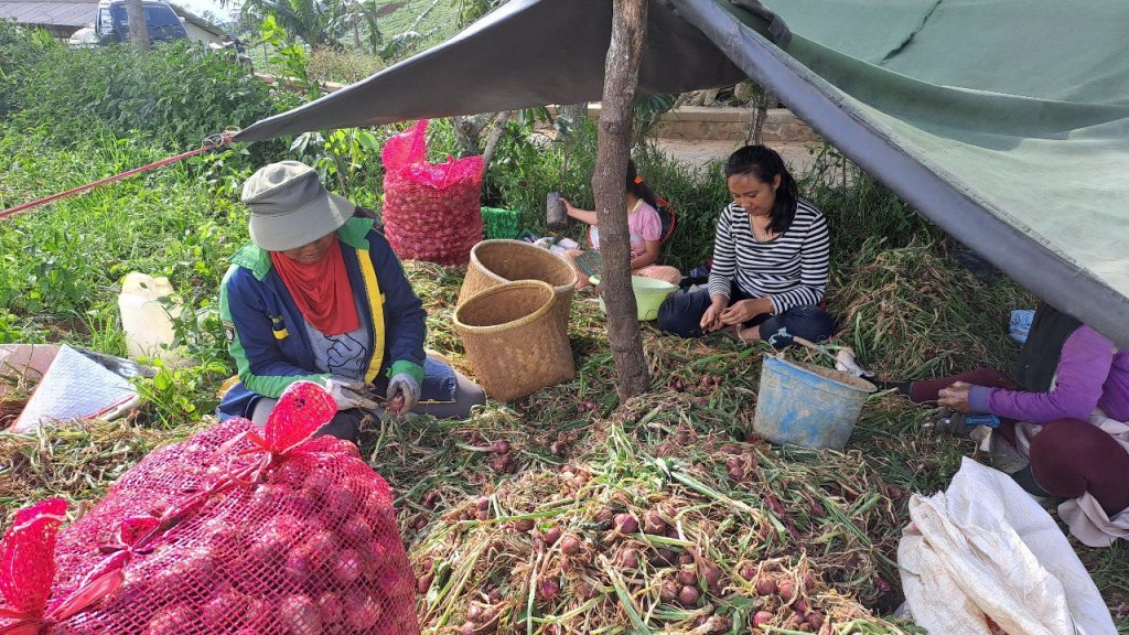 Ekonomi keluarga petani