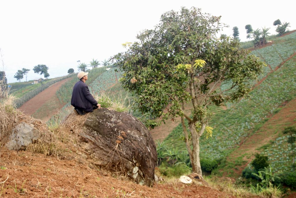 Setiap pohon berharga